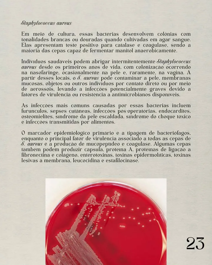 Página do atlas: Staphylococcus aureus em ágar sangue