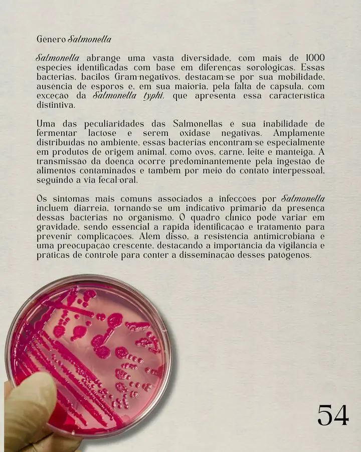 Página do atlas: Salmonella em ágar seletivo