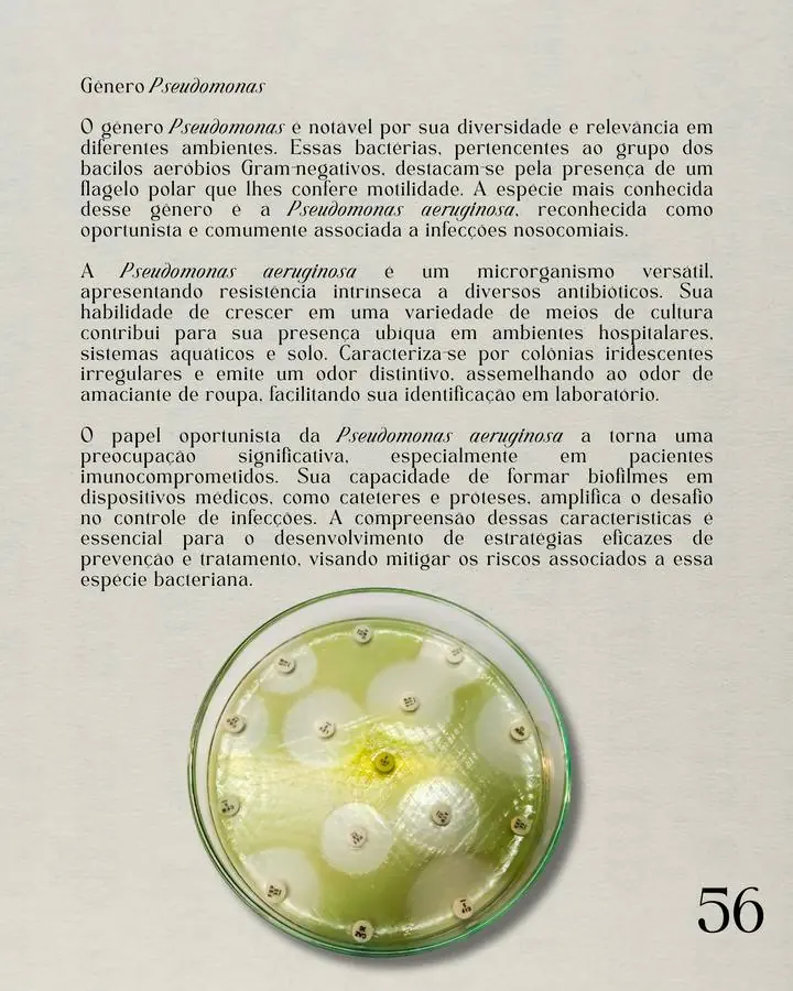 Página do atlas: Pseudomonas aeruginosa em antibiograma