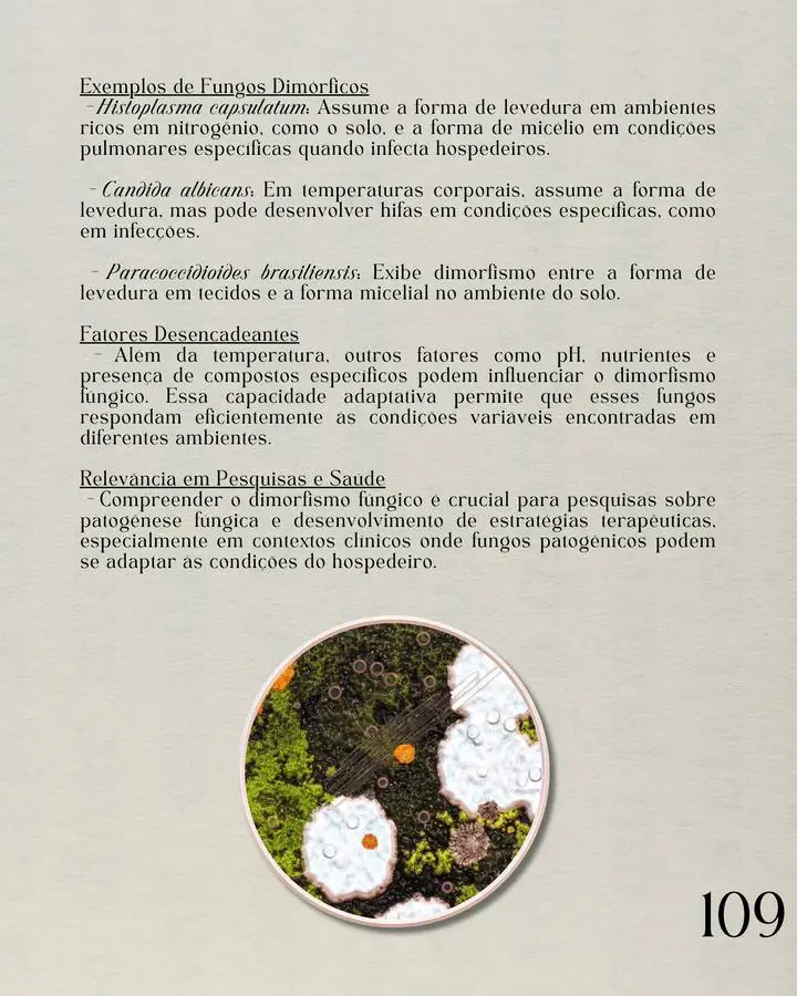 Página do atlas: fungos dimórficos / micologia